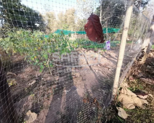 ตาข่ายกันนก-รีวิว