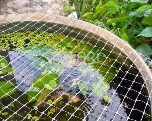 ตาข่ายกันนก-รีวิว