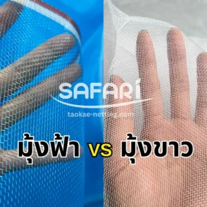 มุ้งฟ้า vs มุ้งขาว