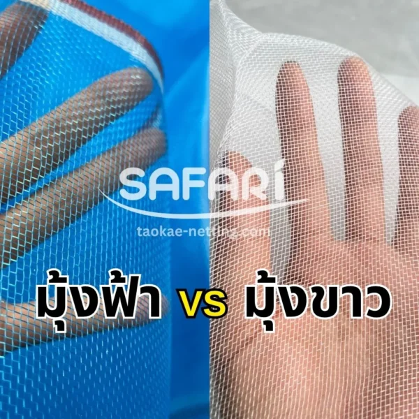 มุ้งฟ้า vs มุ้งขาว