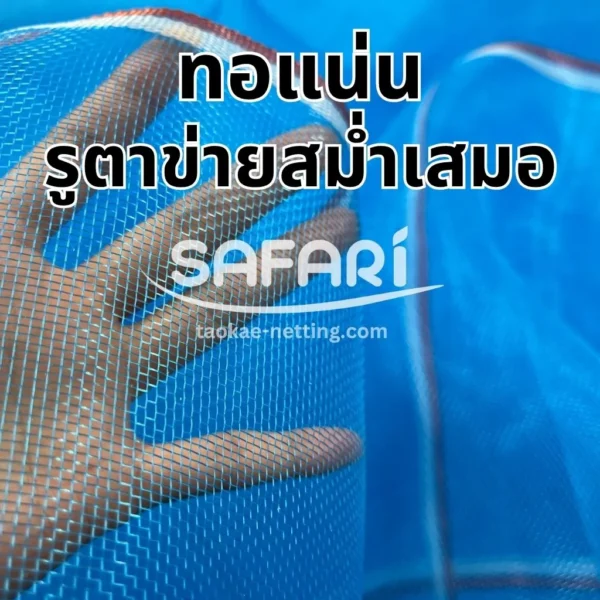 มุ้งไนล่อนฟ้า - ทอแน่น รูตาข่ายสม่ำเสมอ
