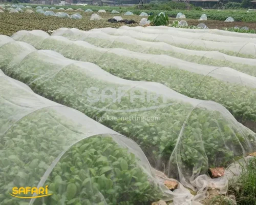 ตาข่ายกันแมลง-รีวิวคลุมแปลงผัก