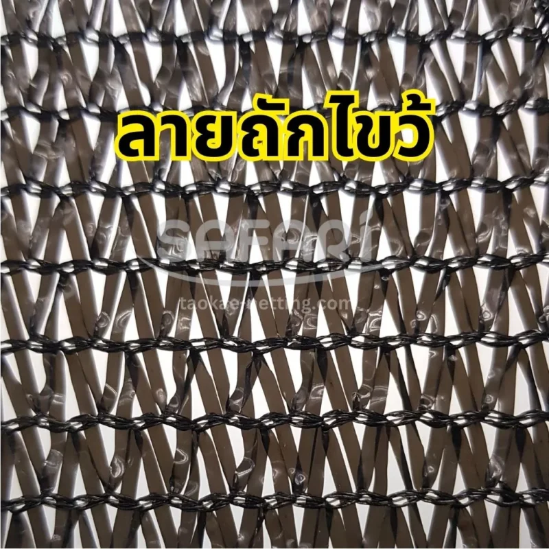 สแลน 3เข็ม