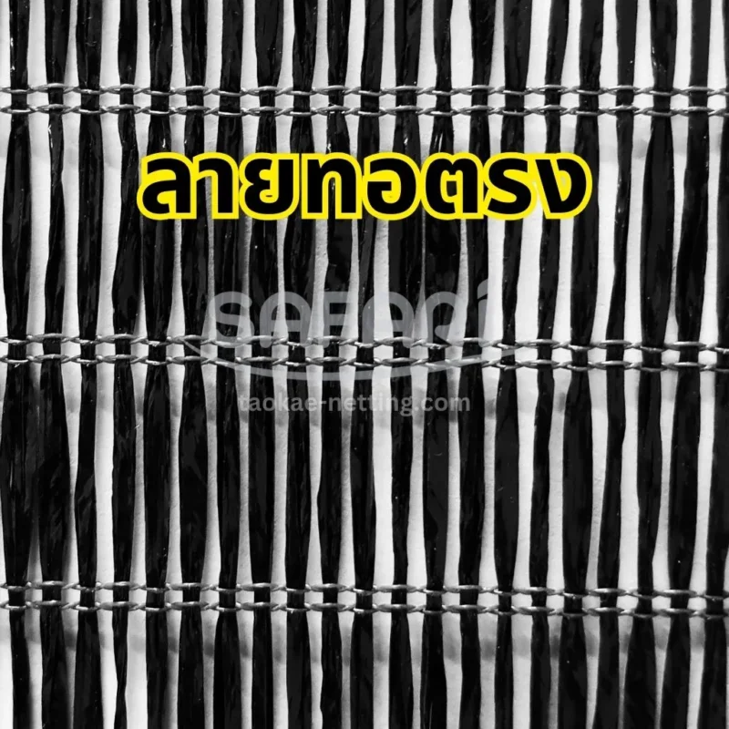 สแลน 1เข็ม