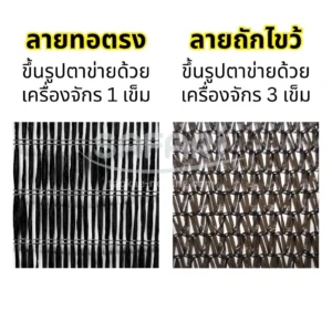 สแลน-เปรียบเทียบ 2 ลาย