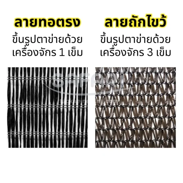 สแลน-เปรียบเทียบ 2 ลาย