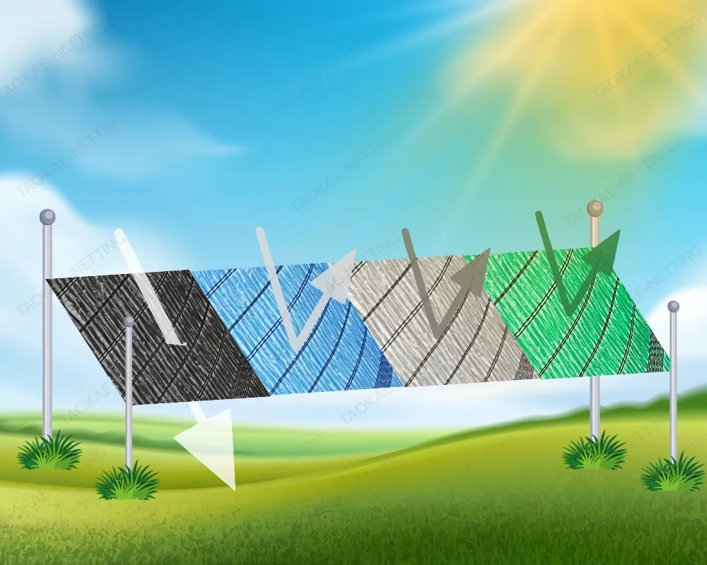 สแลนแต่ละสี