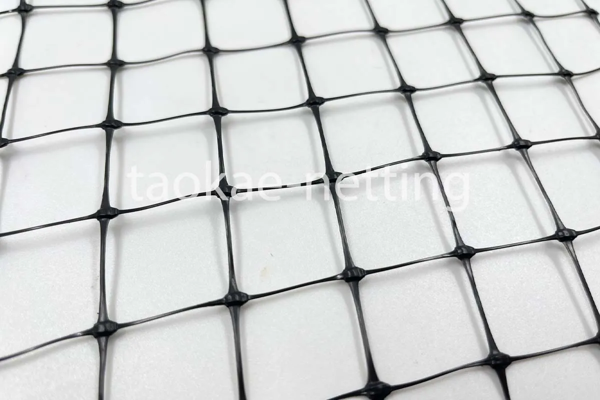 ตาข่ายกันนกสีดำ