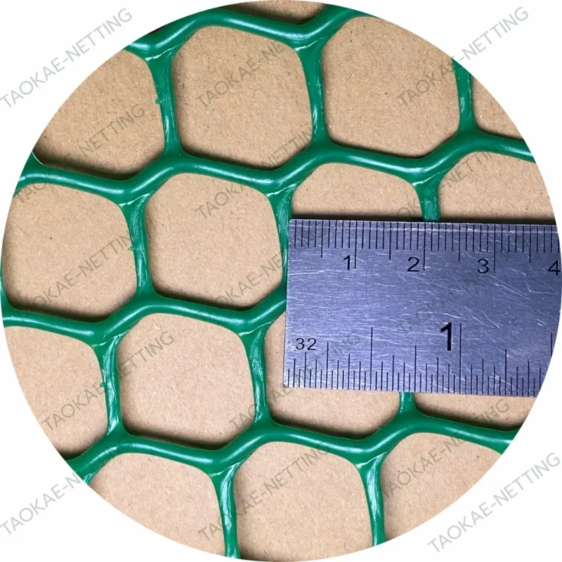 ตาข่ายพลาสติกแข็ง 20 มม.