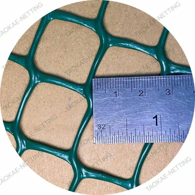 ตาข่ายพลาสติกแข็ง 25 มม.