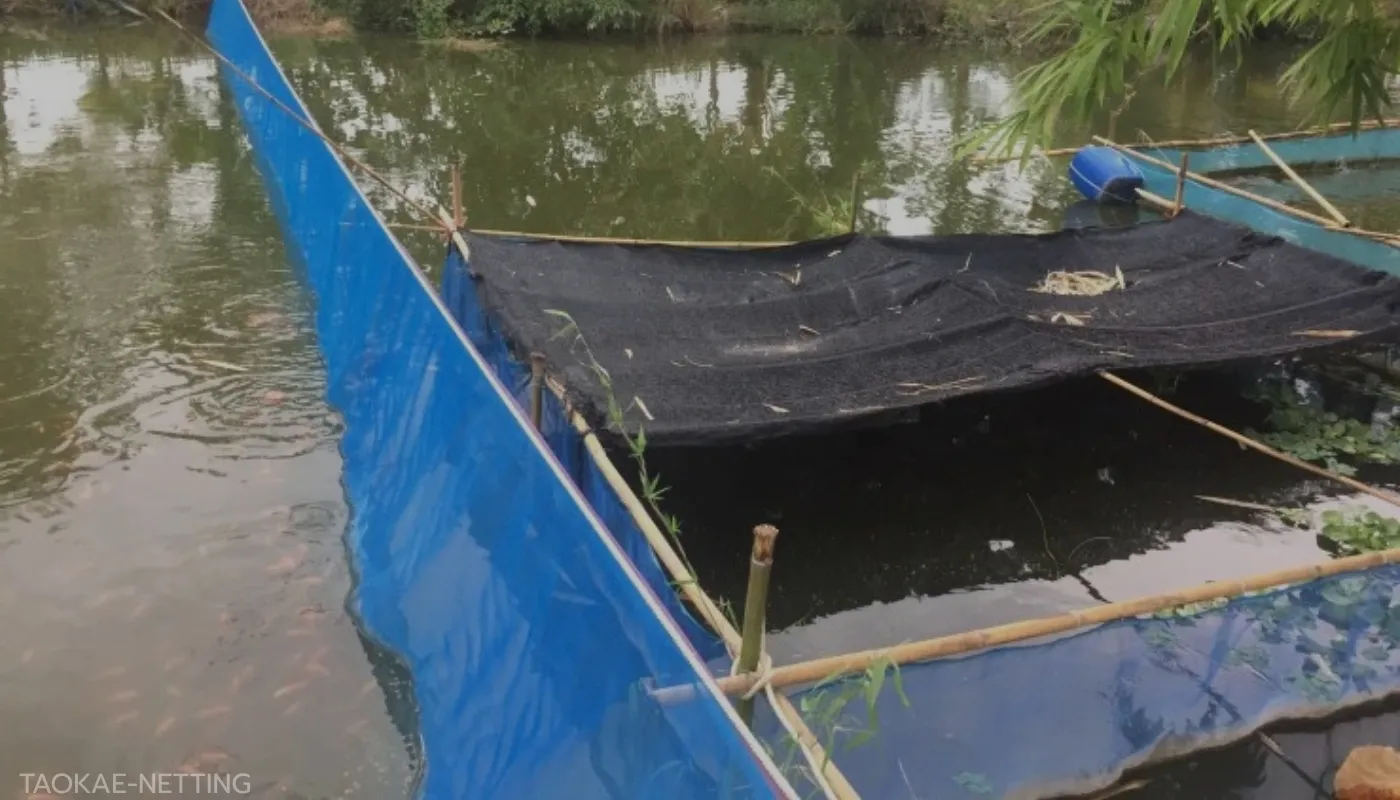 หน้าปก 7 ประโยชน์มุ้งไนล่อนฟ้า