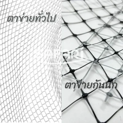 ความแตกต่งระหว่าง ตาข่ายทั่วไป กับ ตาข่ายกันนก