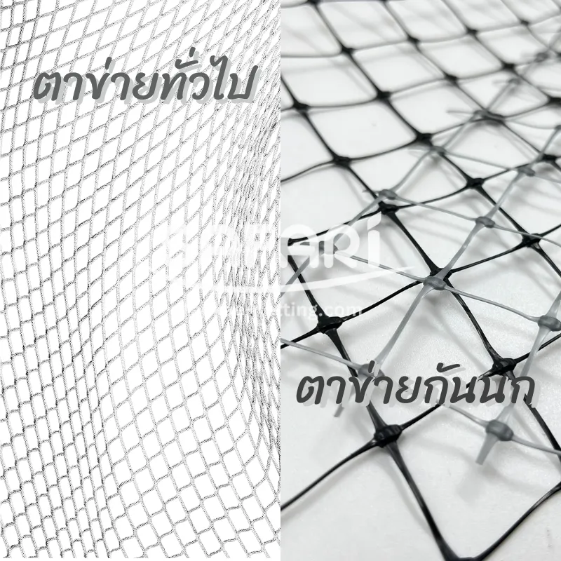 ความแตกต่งระหว่าง ตาข่ายทั่วไป กับ ตาข่ายกันนก