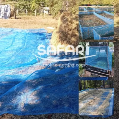 มุ้งไนล่อนฟ้า 7 ประโยชน์มุ้งไนล่อนฟ้า