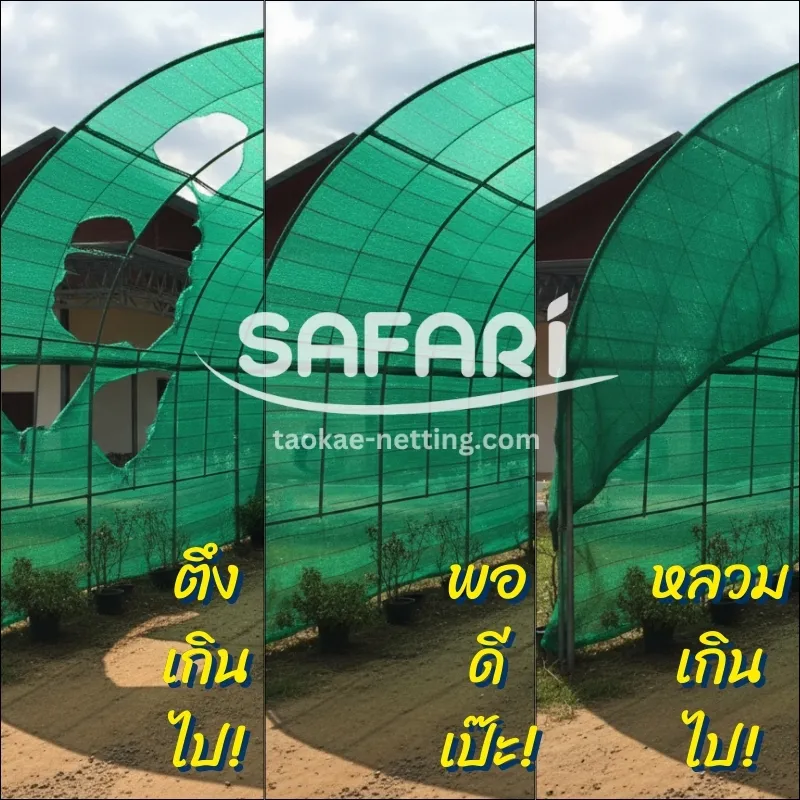 สแลน - การติดตั้งสแลนไม่ให้ขาดง่าย