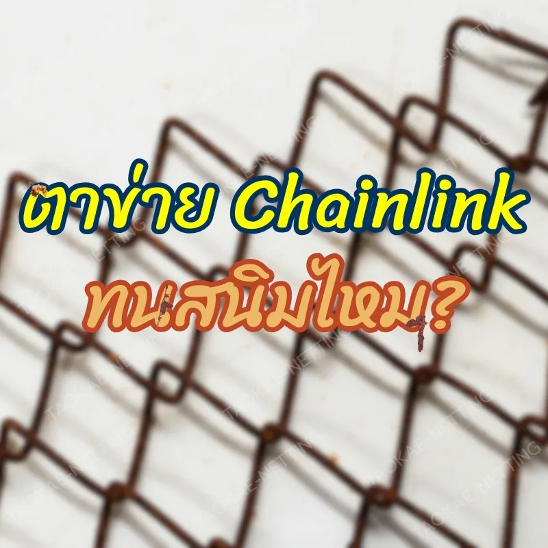 ตาข่ายถัก Chainlink ทนสนิมไหม