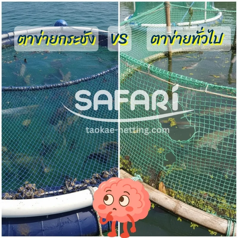 ตาข่ายกระชัง - ตาข่ายกระชังแตกต่างจากตาข่ายทั่วไปยังไง