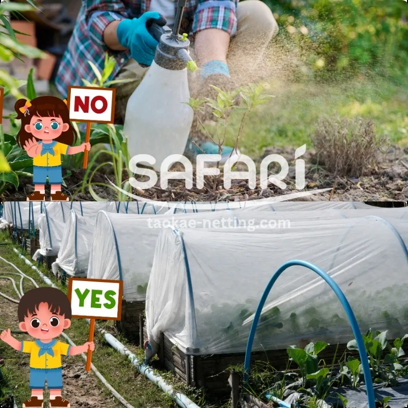 ตาข่ายกันแมลง - ลดสารเคมี ปลอดภัยต่อผู้ปลูกและผู้บริโภค