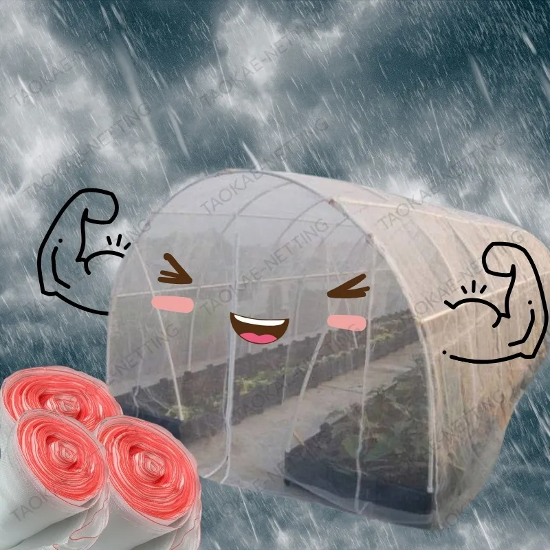 ตาข่ายกันแมลง - ป้องกันฝนได้ไหม?