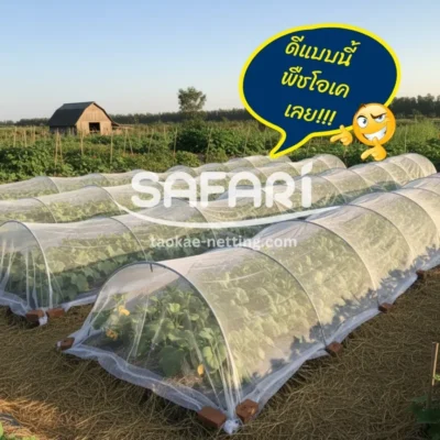 ตาข่ายกันแมลง - พืชที่เหมาะกับมุ้งไนล่อนขาว