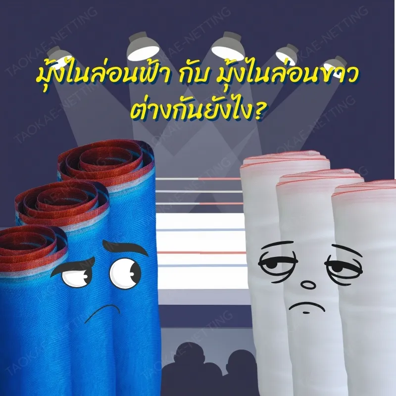 มุ้งไนล่อนฟ้า กับมุ้งไนล่อนขาว ต่างกันยังไง