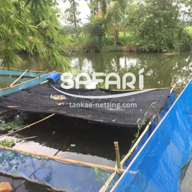 มุ้งไนล่อนฟ้า - การใช้มุ้งไนล่อนฟ้าล้อมบ่อเลี้ยงปลา