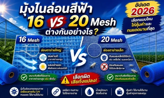 มุ้งไนล่อนสีฟ้า-16-vs-20-Mesh-ต่างกันอย่างไร-อัปเดต-2026