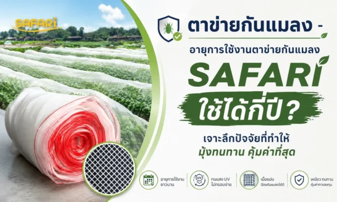 อายุการใช้งานตาข่ายกันแมลง SAFARI ใช้งานได้กี่ปี
