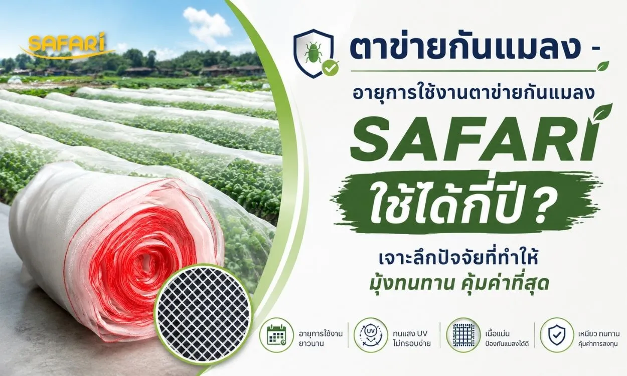 อายุการใช้งานตาข่ายกันแมลง SAFARI ใช้งานได้กี่ปี