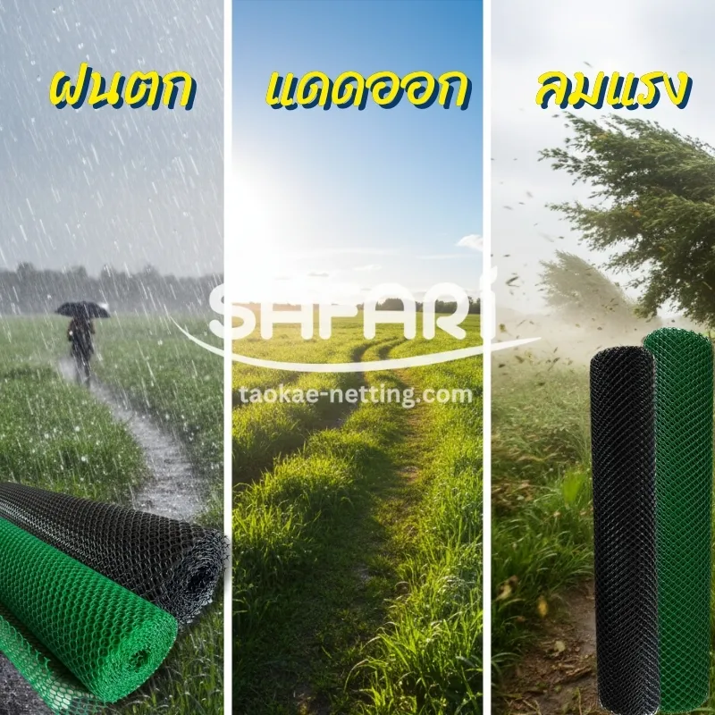 ตาข่ายแข็ง SAFARI - อายุการใช้งานตาข่ายแข็ง