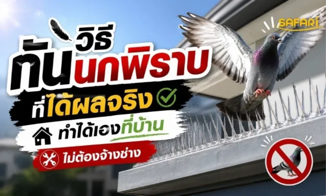 ตาข่ายกันนก