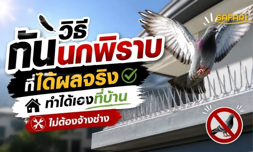ตาข่ายกันนก