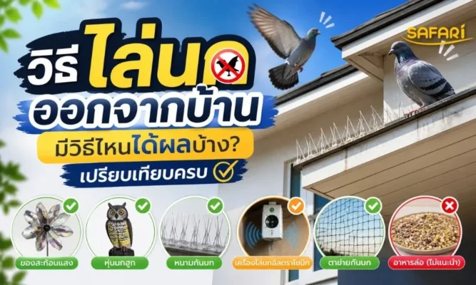 ตาข่ายกันนก - วิธีไล่นกออกจากบ้าน